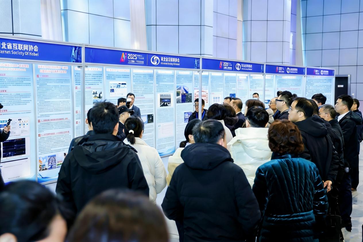 1765535541863.jpg 图片5.jpg