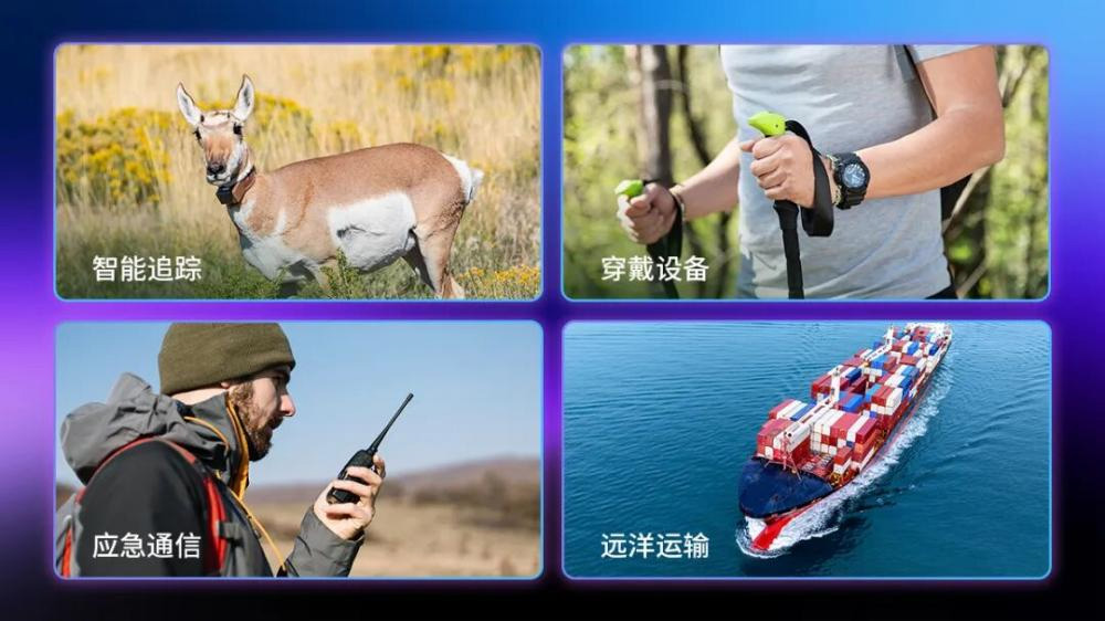 1774701171914.jpg 鍥剧墖5.jpg